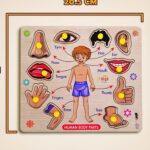HUMAN BODY PARTS WOODEN SHAPE PUZZLE