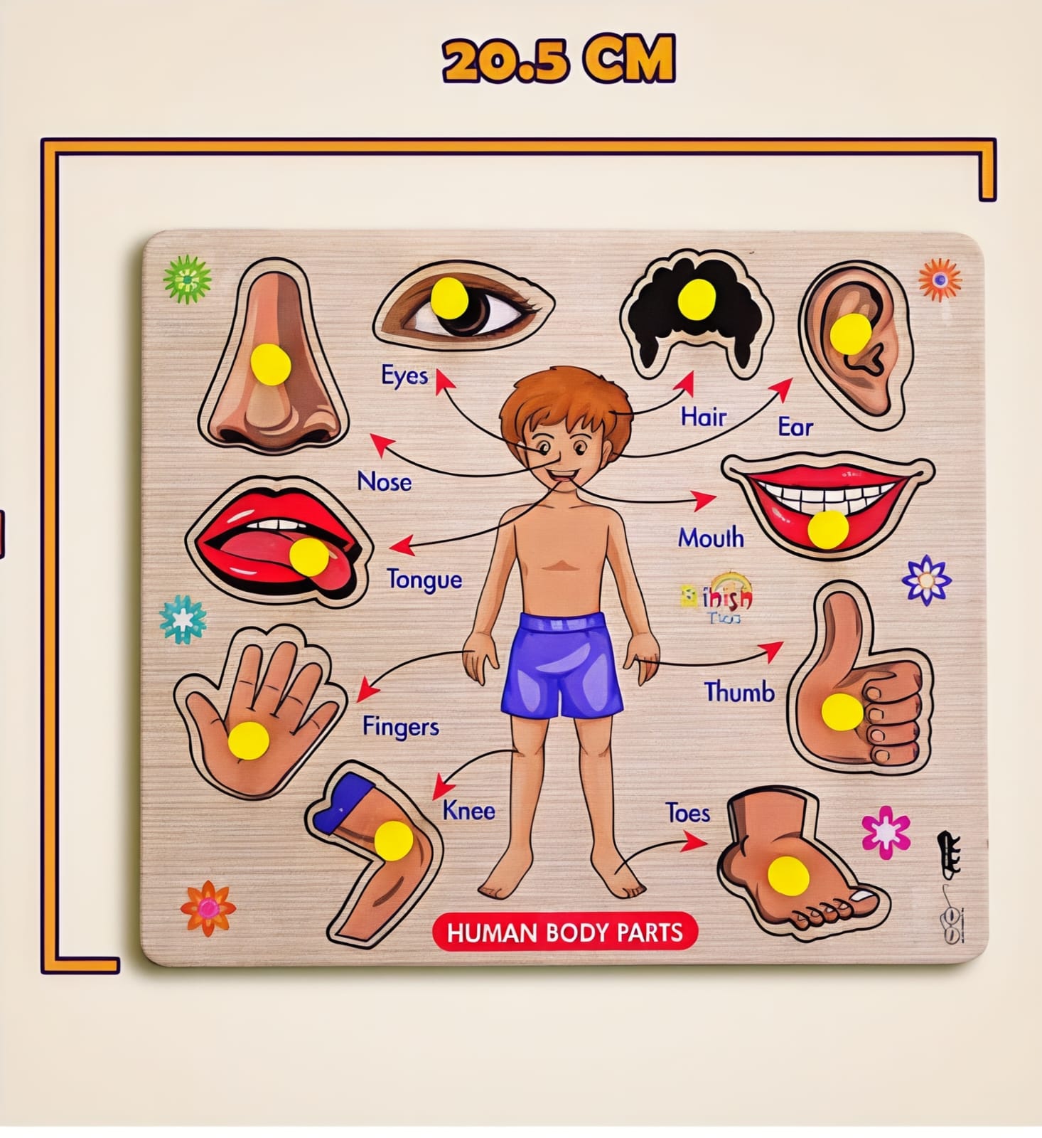 HUMAN BODY PARTS WOODEN SHAPE PUZZLE HUMAN BODY PARTS WOODEN SHAPE PUZZLE - Image 1
